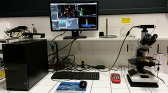 Caractérisation physique des nanoparticules